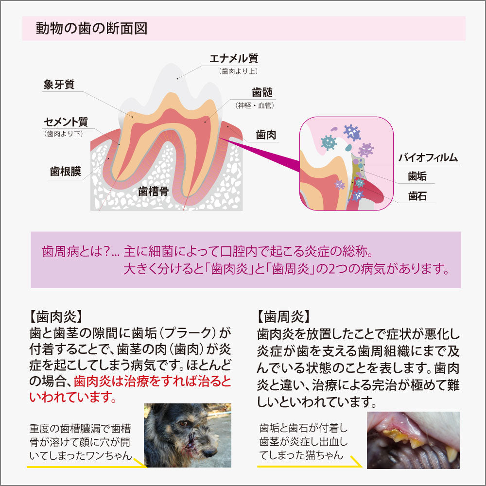 【Oxyfresh】歯周病 口臭ケア オキシフレッシュ ペットデンタルジェル 犬 猫 歯磨き