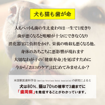 【Oxyfresh】歯周病 口臭ケア オキシフレッシュ ペットデンタルジェル 犬 猫 歯磨き