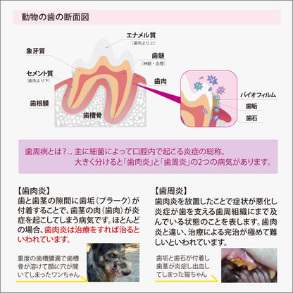 【Oxyfresh】歯周病 口臭ケア オキシフレッシュ ペットデンタルジェル 犬 猫 歯磨き
