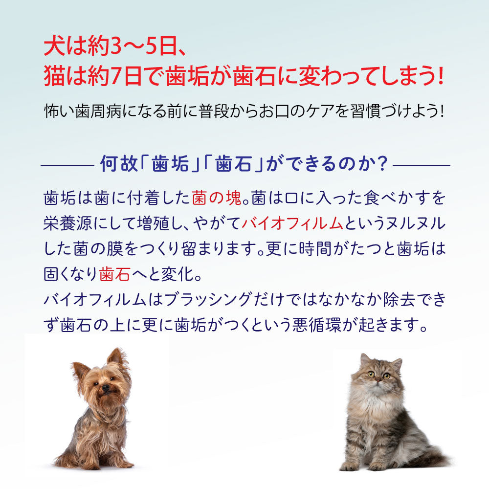 【Oxyfresh】歯周病 口臭ケア オキシフレッシュ ペットデンタルジェル 犬 猫 歯磨き
