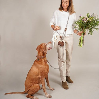 【High5dogs】Handsfree Leash