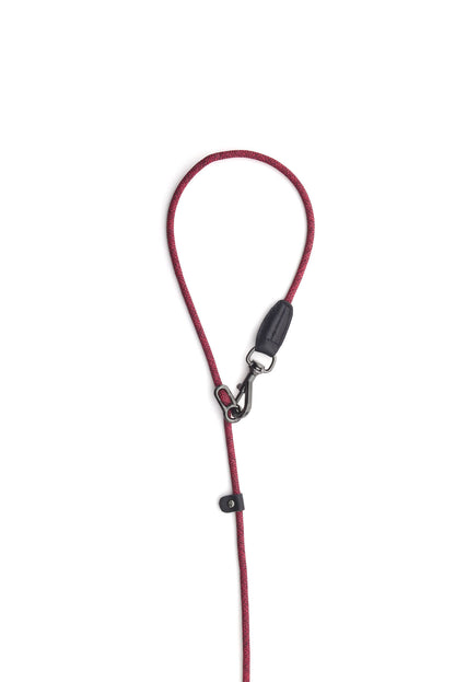 【High5dogs】Leader Leash Red