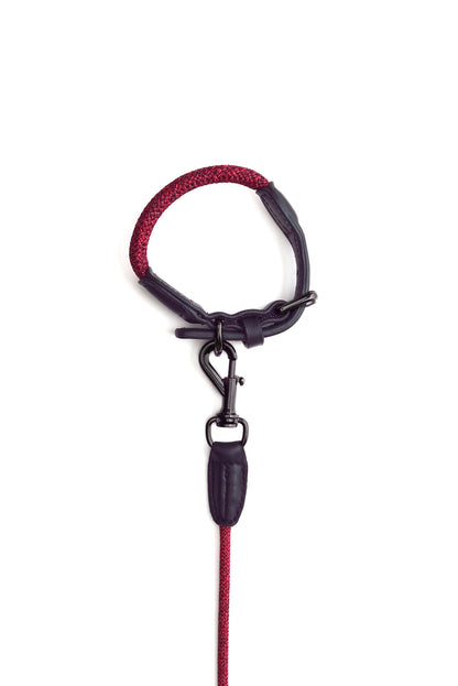 【High5dogs】Leader Leash Red