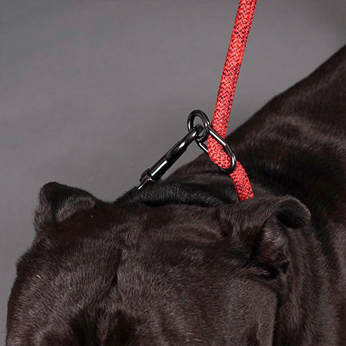 【High5dogs】Parking Leash Beige（旧：Clic Leash）