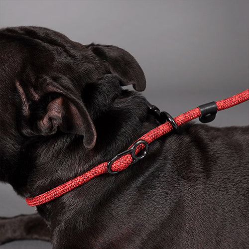 【High5dogs】Parking Leash Beige（旧：Clic Leash）