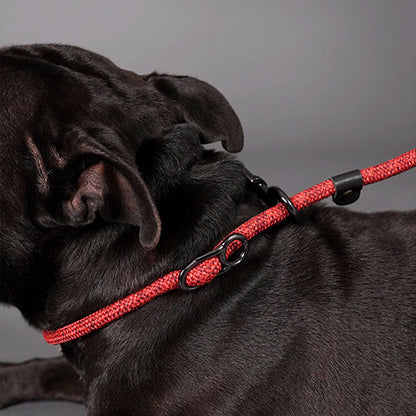 【High5dogs】Parking Leash Beige（旧：Clic Leash）