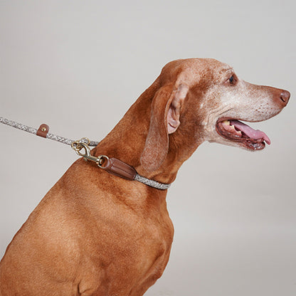 【High5dogs】Handsfree Leash